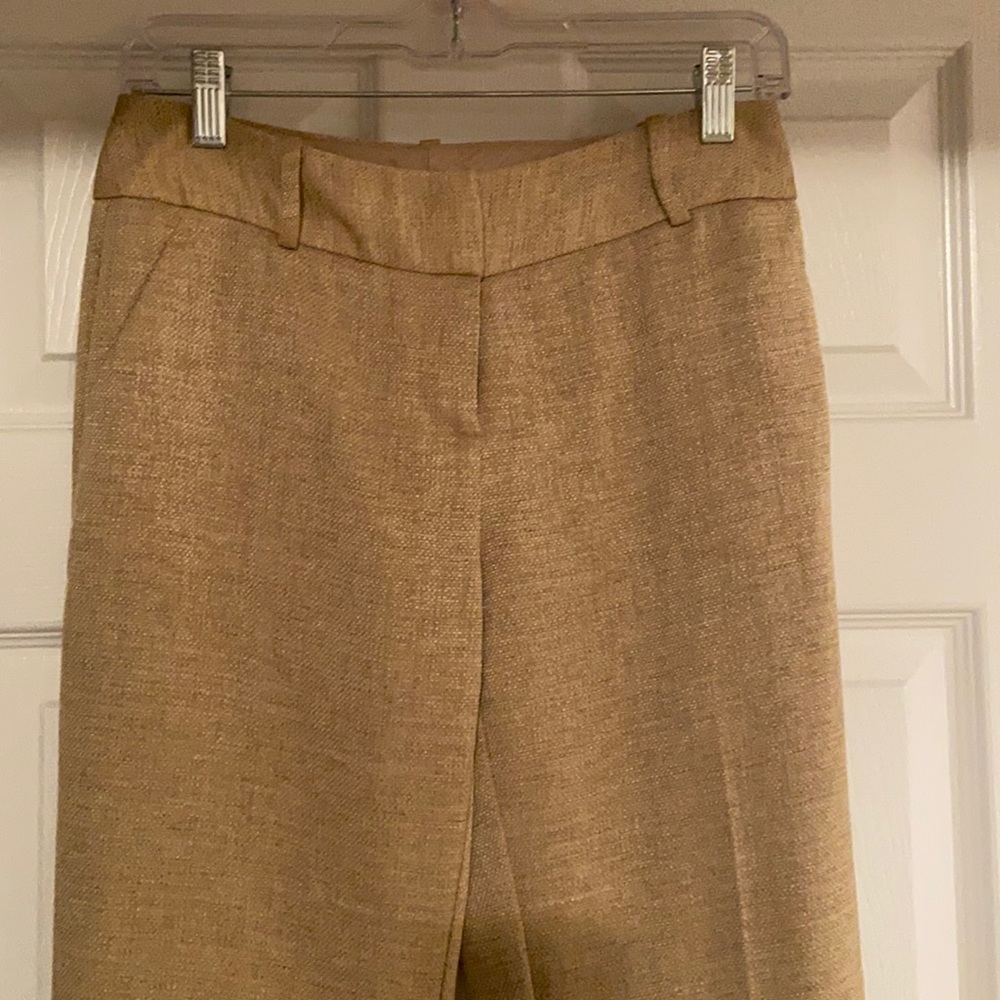Gold Textured Bootcut Dress Slacks